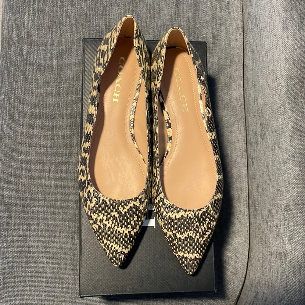 NIB Coach Vierra Snake Skimmer